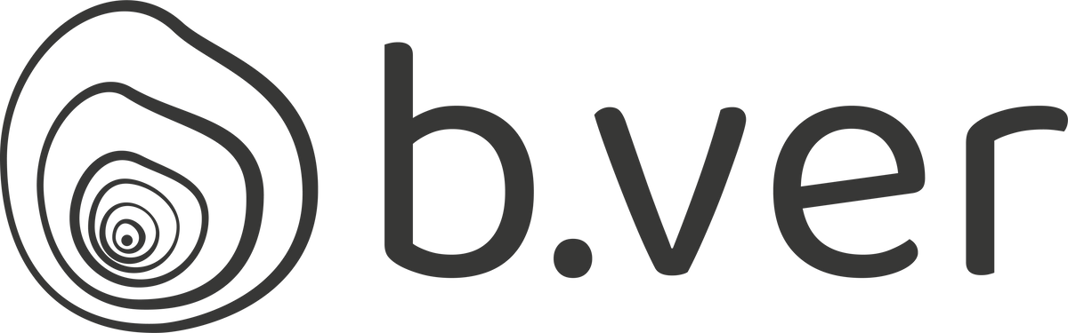 Stylos B-ver en bois